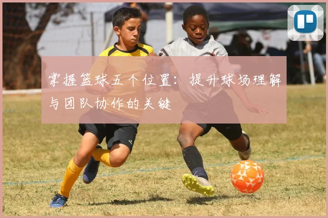 掌握篮球五个位置:提升球场理解与团队协作的关键